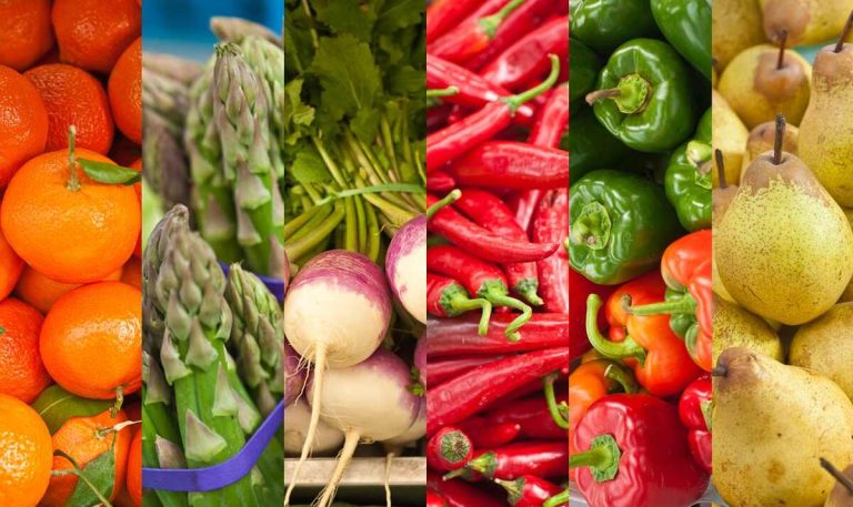 Mercado Biológico Agrobio