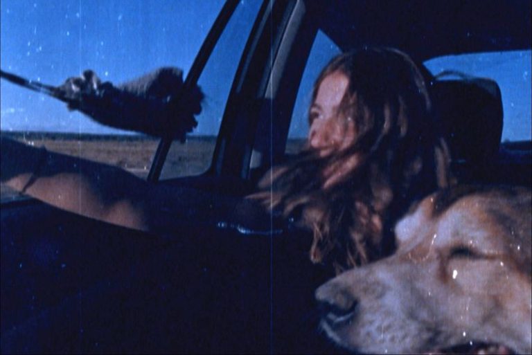 Traça – Mostra de Filmes de Arquivos Familiares