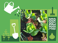 Ciclo de workshops: Vamos à Horta?