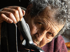 Exposição fotográfica “Haja Flores”