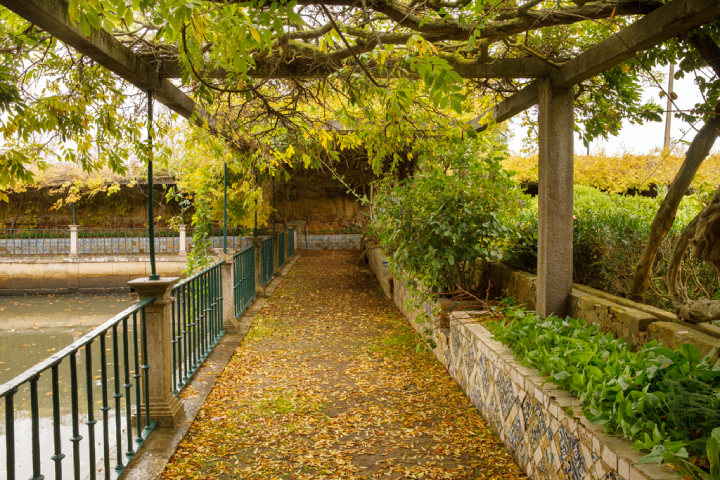Estações do Ano no Jardim – Outono