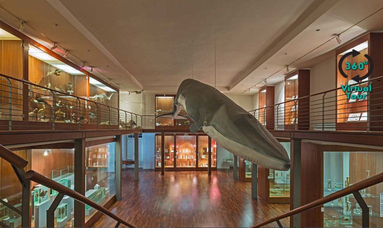 Museu Nacional de História Natural e da Ciência