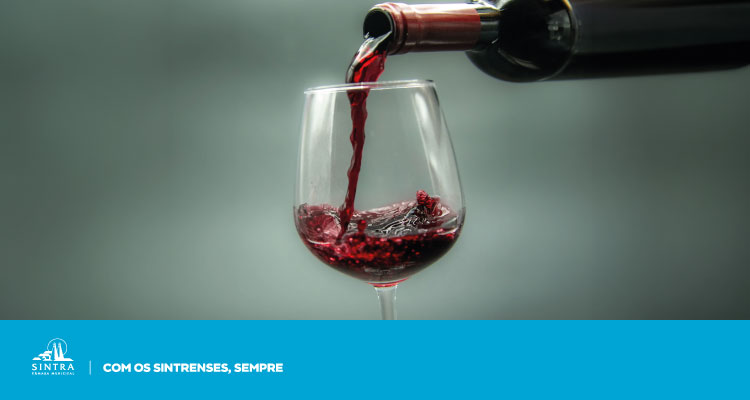 Prova de vinhos no Mercado da Estefânia