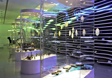 Museu de História Natural de Sintra